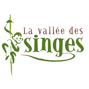 Lire la suite à propos de l’article La vallée des singes